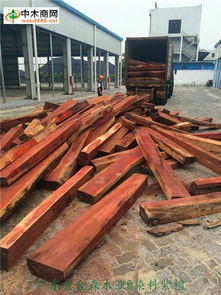 广州市黄埔区意合森木业经营部 优质木材批发供应商