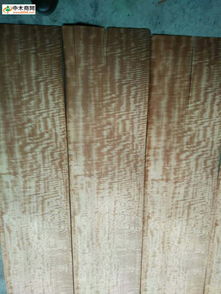 探秘木材世界 从中木商网看产品、价格、厂家与行业资讯