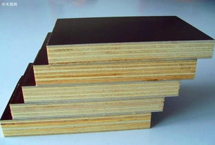 徐州轩畅木业 一站式木材批发采购平台，聚焦品质与价格