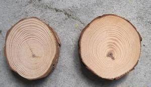 探索木材世界 图片、产品、价格、厂家一站式导览