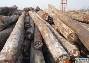 新到巴新2号基地唐木 行情、厂家与采购指南